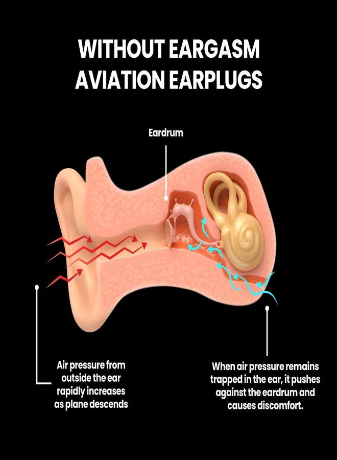 Eargasm Aviation Earplugs - Airplane Ear-Plugs for Ear Air Pressure Relief on Flights for Adults - High Altitude Air Travel Essential Earplugs for Men & Women for a Comfortable Trip - Image 4
